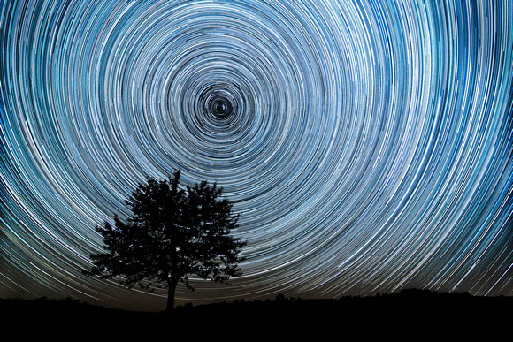 The StarTrail and the tree